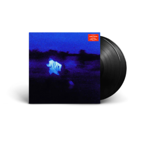 DANIEL CAESAR / NEVER ENOUGH 