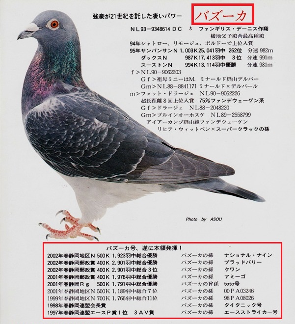 代表種鳩 - 静岡のレース鳩仲間のHP