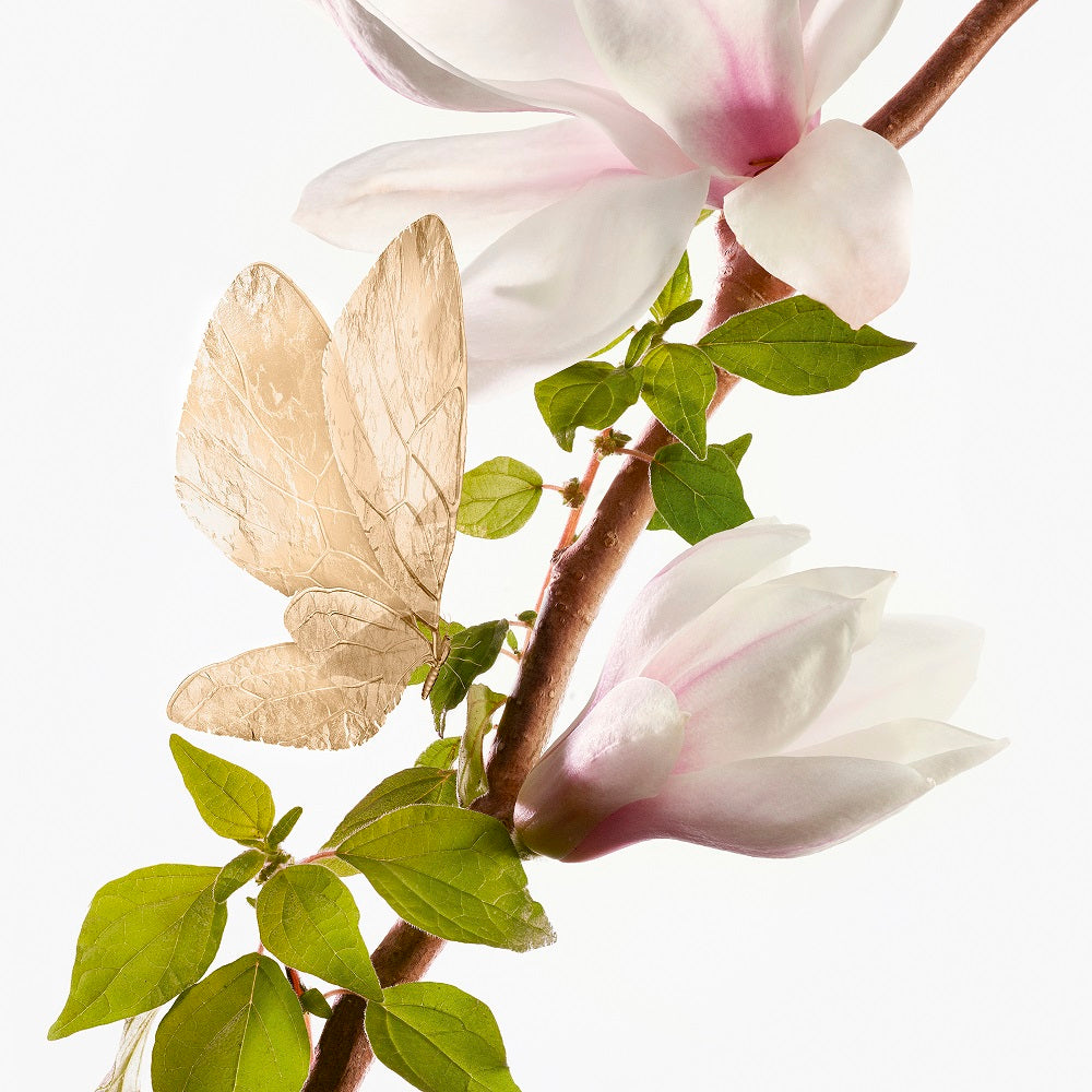 公式】アン マタン ドラージュ オードトワレ｜グタール（GOUTAL