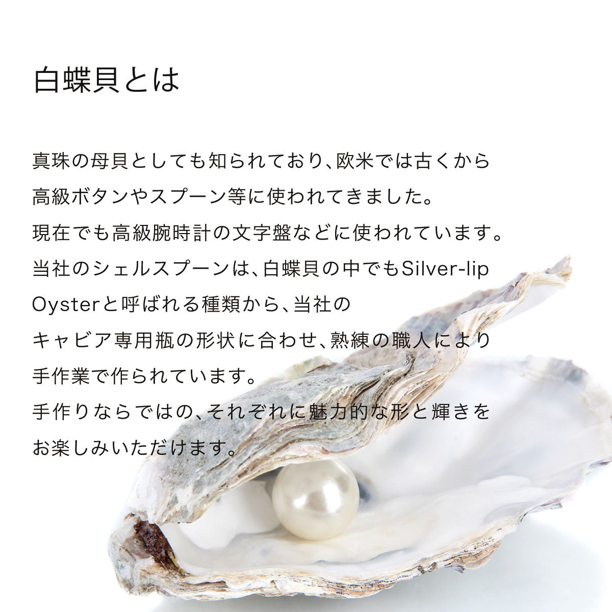 キャビア専用シェルスプーン（白蝶貝スプーン） | ジャパンキャビア