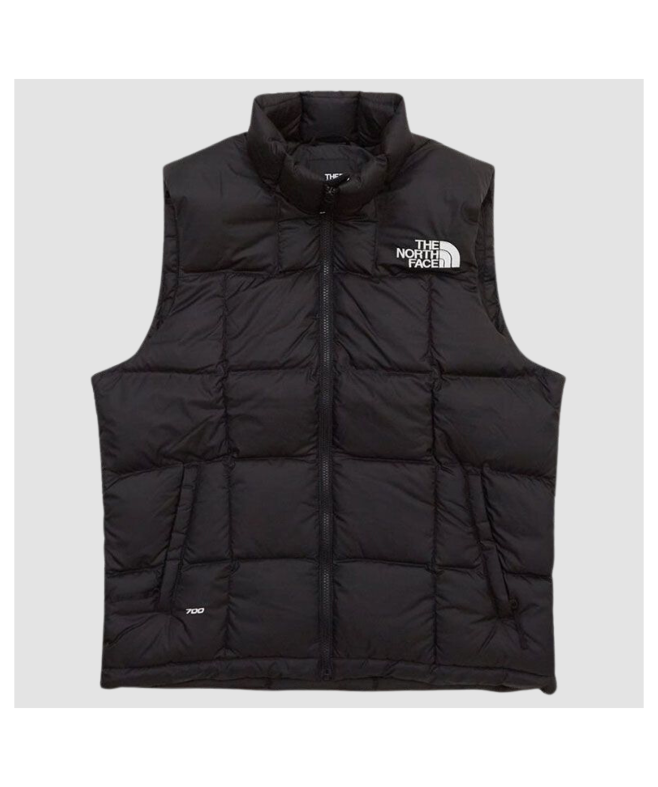The North Face Men's Lhotse Vest | Black - ﻿NF0A853DJK3, Purple