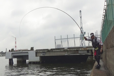 ブラックジャック スナイパー落とし込み(ロッド)｜DAIWA