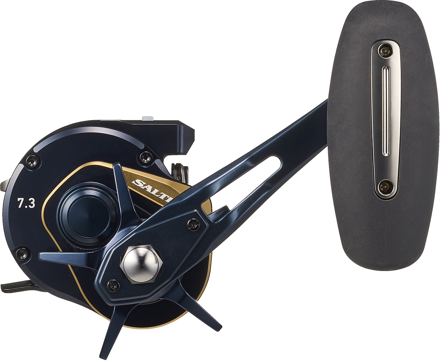 ソルティガ IC 100/300-C(リール)｜DAIWA