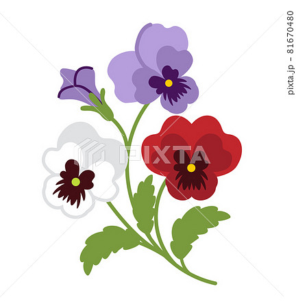 花の絵 花の絵 花圖 カード検索 ｜ Z/X - Zillions of enemy X