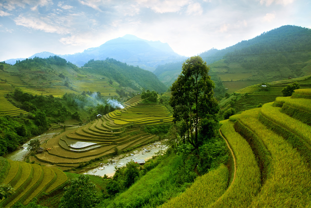 言葉を失うほど美しい、四季折々の「ベトナム棚田絶景」 | TABIZINE