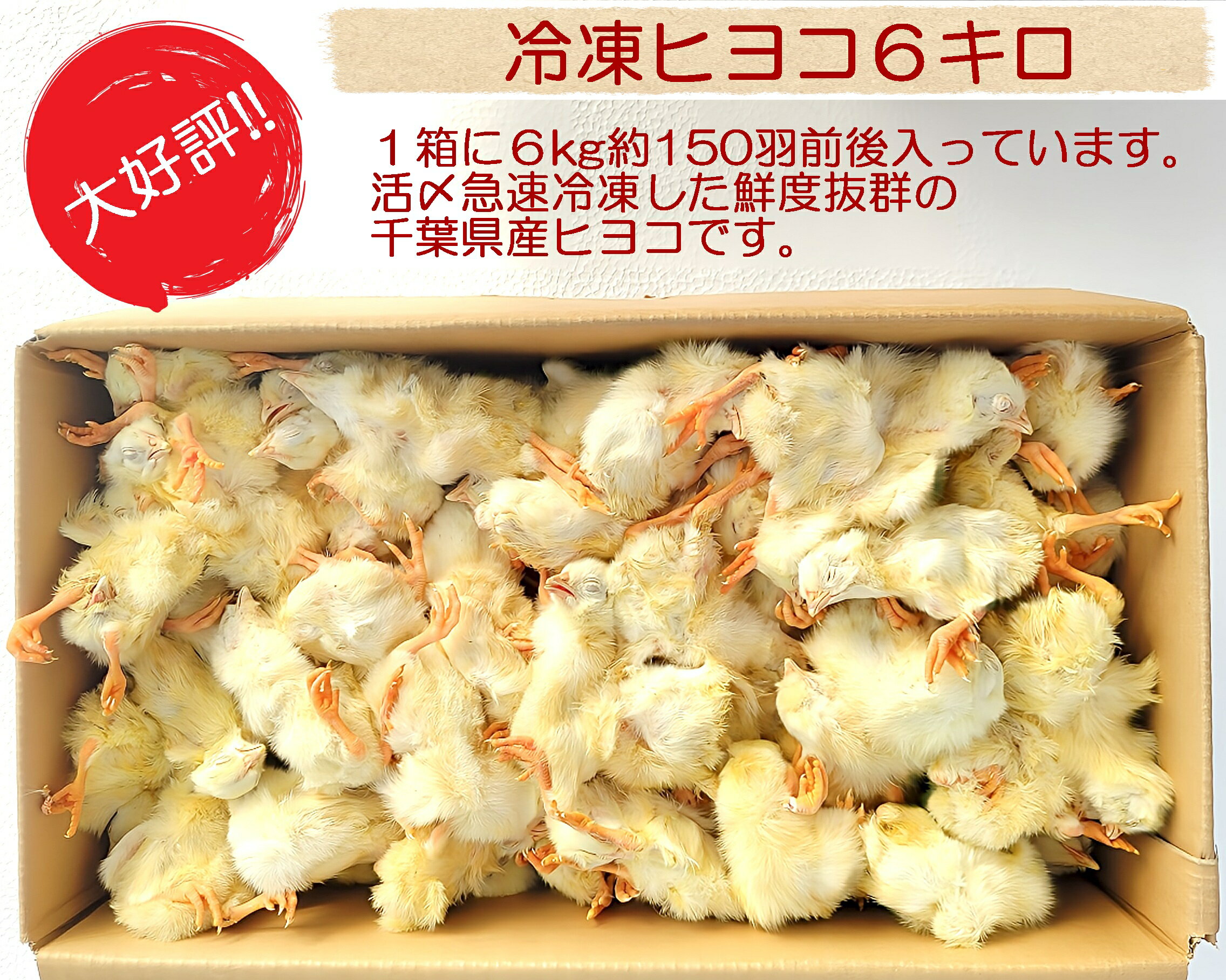 楽天市場】ひよこ 冷凍（ペット・ペットグッズ）の通販