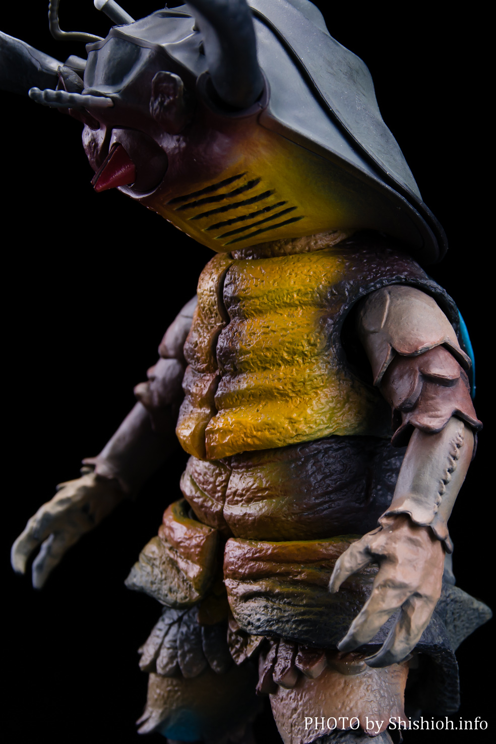 レビュー】S.H.Figuarts アントラー