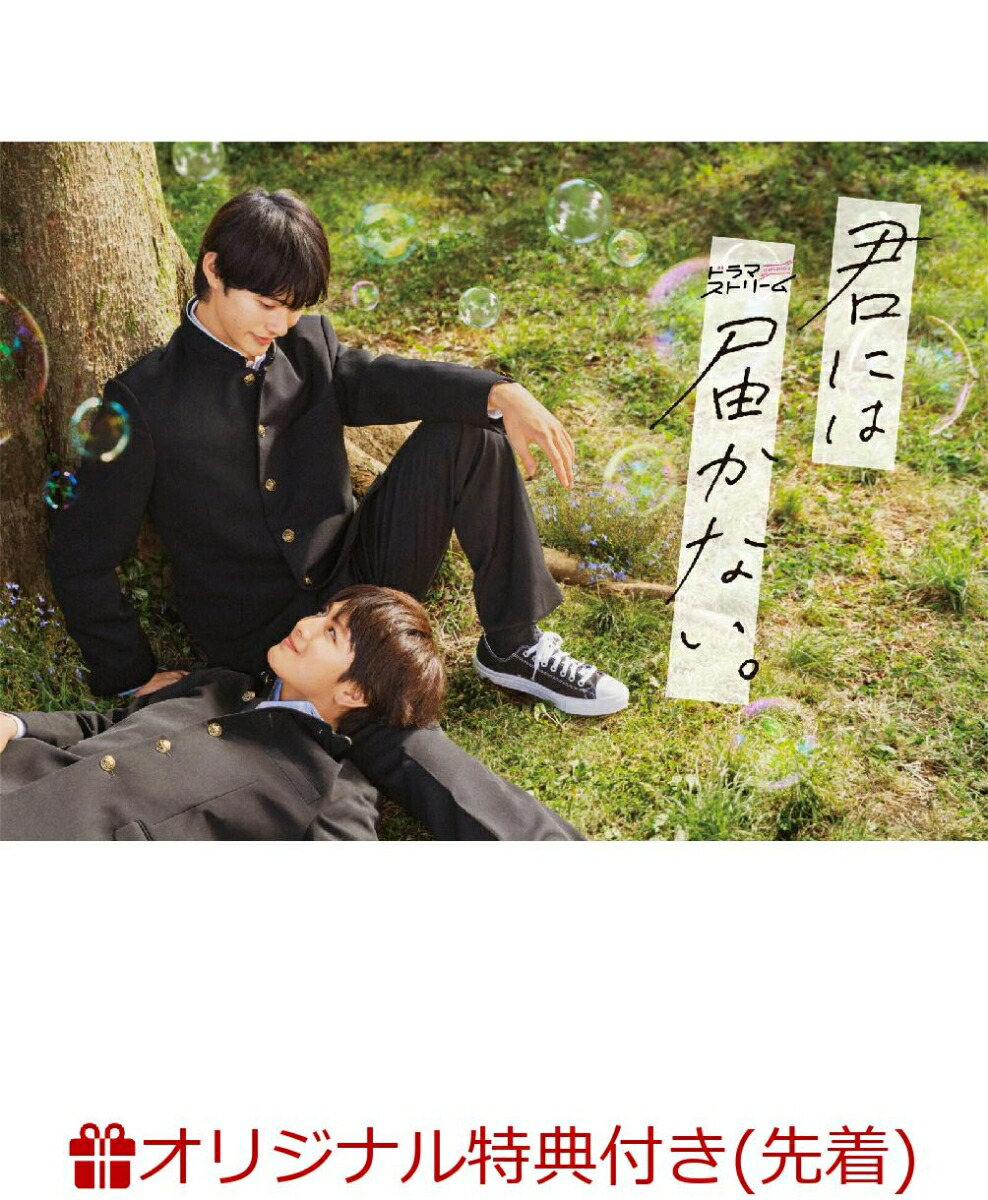 楽天ブックス: 君には届かない。 Blu-ray BOX【Blu-ray】 - 前田拳太郎