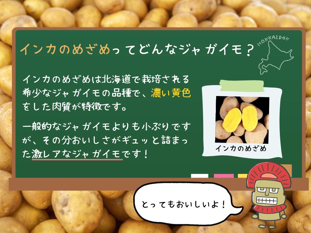 インカのめざめ 種芋 7kg② インカのめざめ 種芋 7kg② じゃがいも