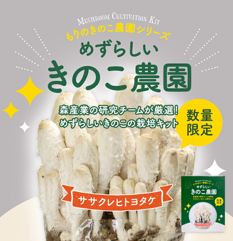 楽天市場】【完売しました】めずらしいきのこ農園 ササクレヒトヨタケ