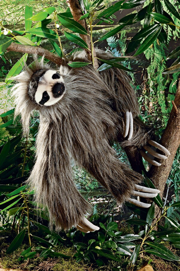 楽天市場】KOESEN ケーセン社 なまけもの 6550〜ドイツ・KOESEN/KOSEN