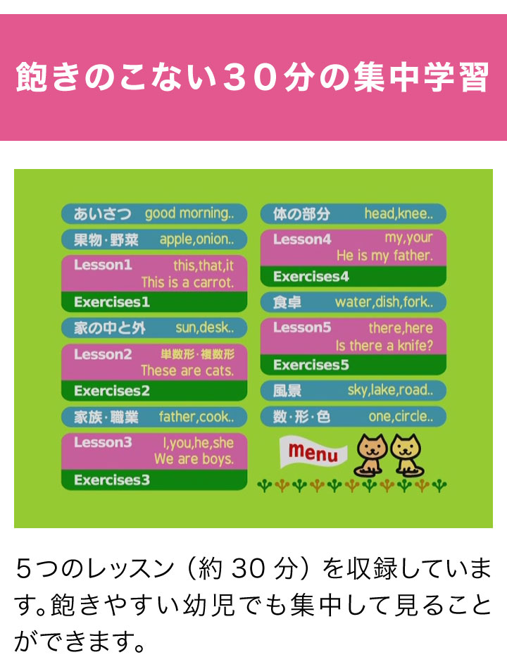 楽天市場】英語のきほん 基本文と英単語 DVD 【正規販売店】 にっく