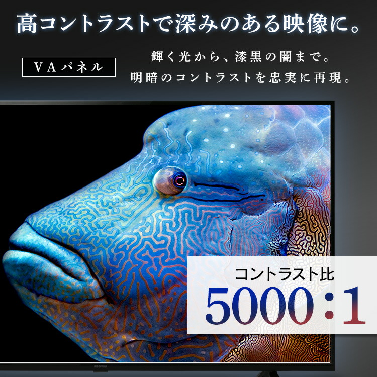 楽天市場】[400円OFFクーポン/くらしにプラス] テレビ 液晶テレビ 43V