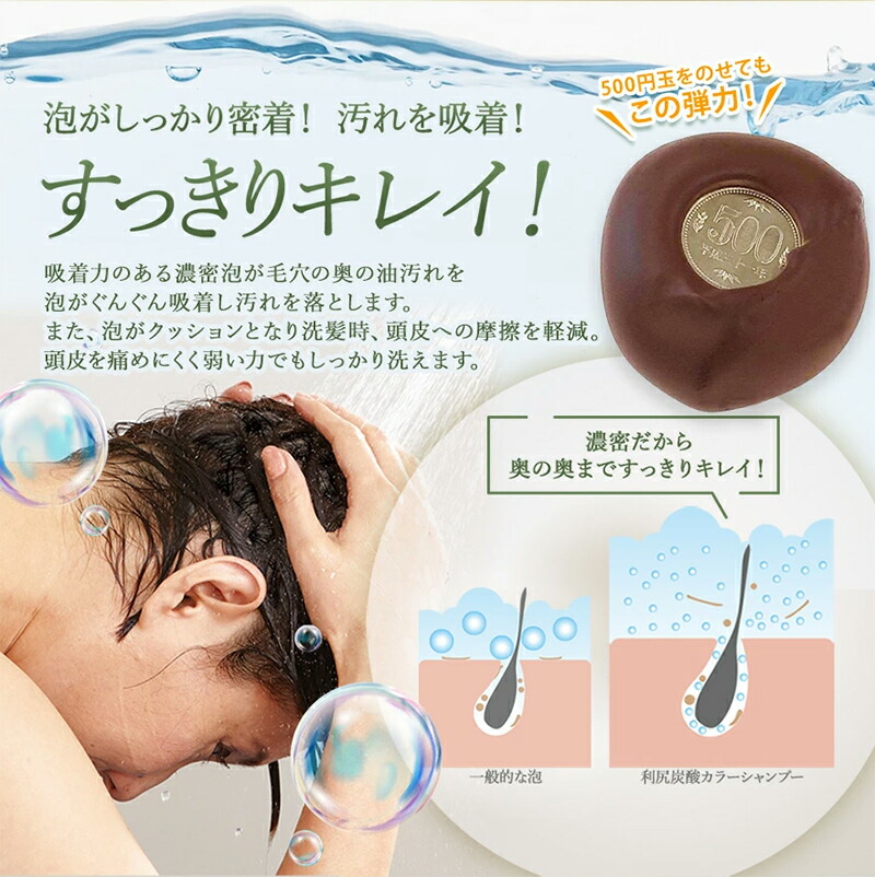 楽天市場】【3/3 20:00〜10%OFF & 送料無料】利尻炭酸カラーシャンプー