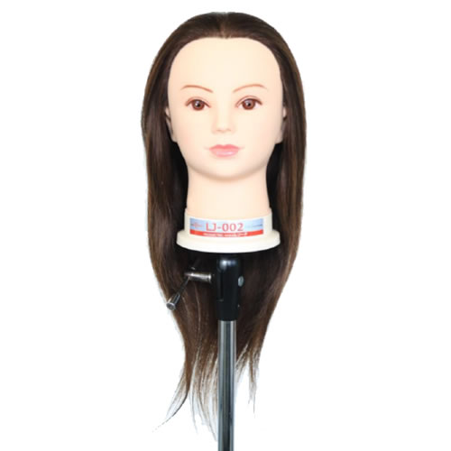 楽天市場】レジーナ アップウィッグ LJ-002 Ver.2 栗色【高級人毛100