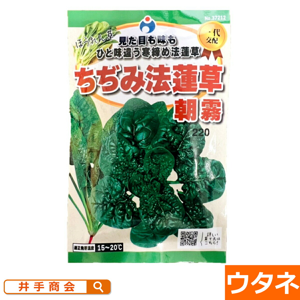 楽天市場】ちぢみ法蓮草 朝霧（ほうれん草） （種:ウタネ）[ほうれん草