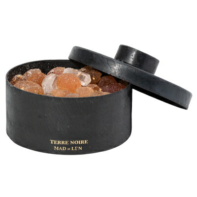 MAD et LEN tubereuse de polianthesマッドエレン 日本初上陸