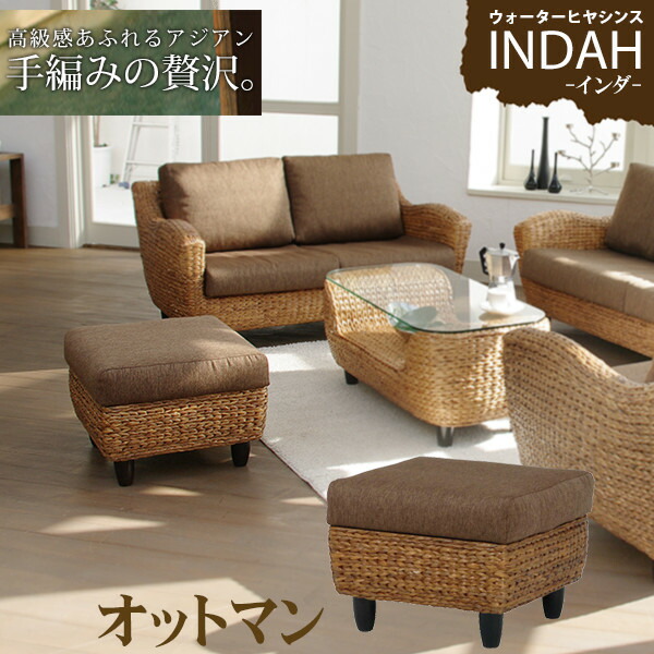 楽天市場】【5%OFFクーポンあり☆3/1限定】ウォーターヒヤシンス