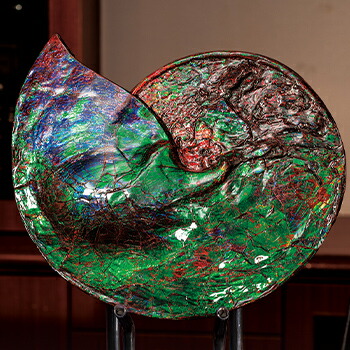 楽天市場】化石 原石 『 史上最高色 アンモライト 』 カナダ