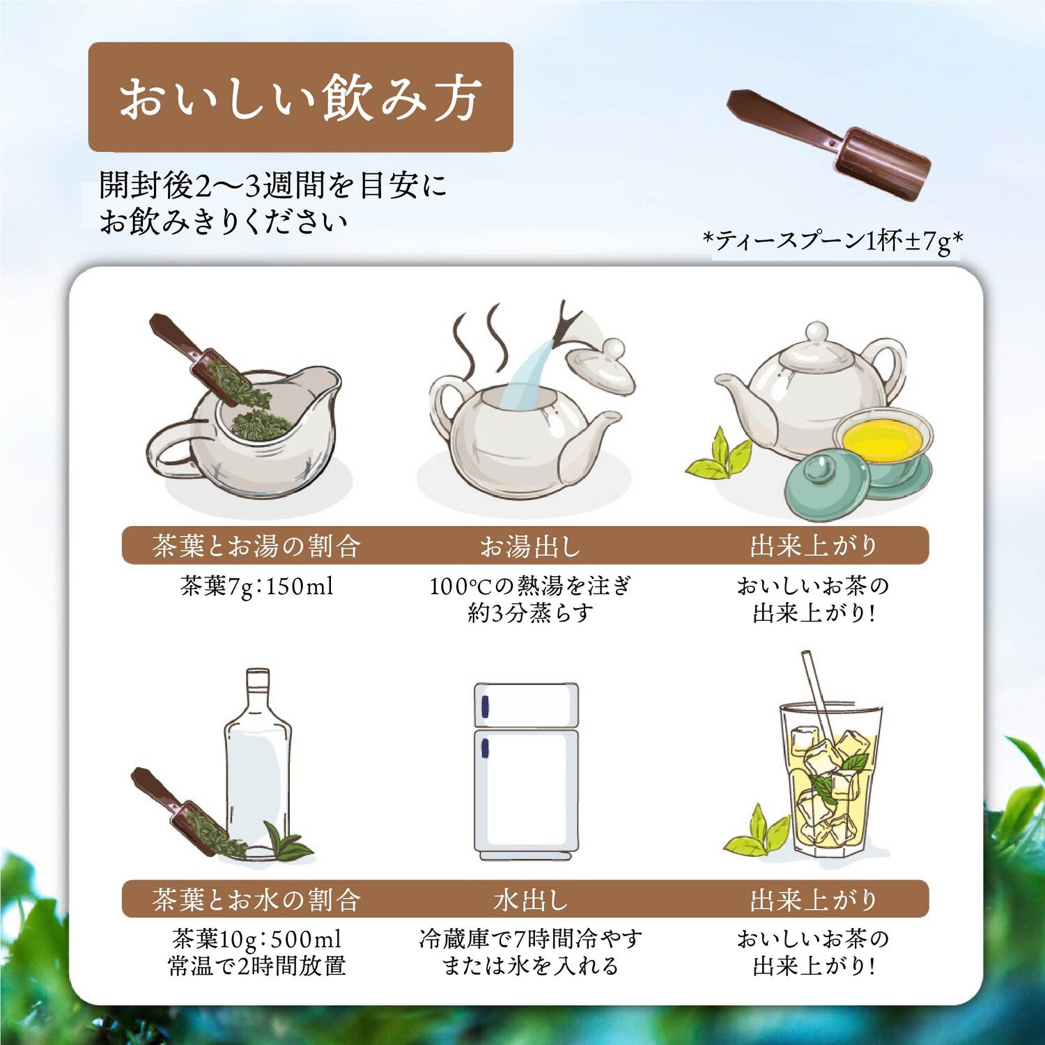 楽天市場】大禹嶺高山茶 75g×2缶 セット 150g 缶入り 93K茶園 台湾茶