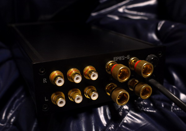 Ω A-Y電子 ELSOUND EPWS-5 Ω 飛躍する…!!ソースがダイレクトに