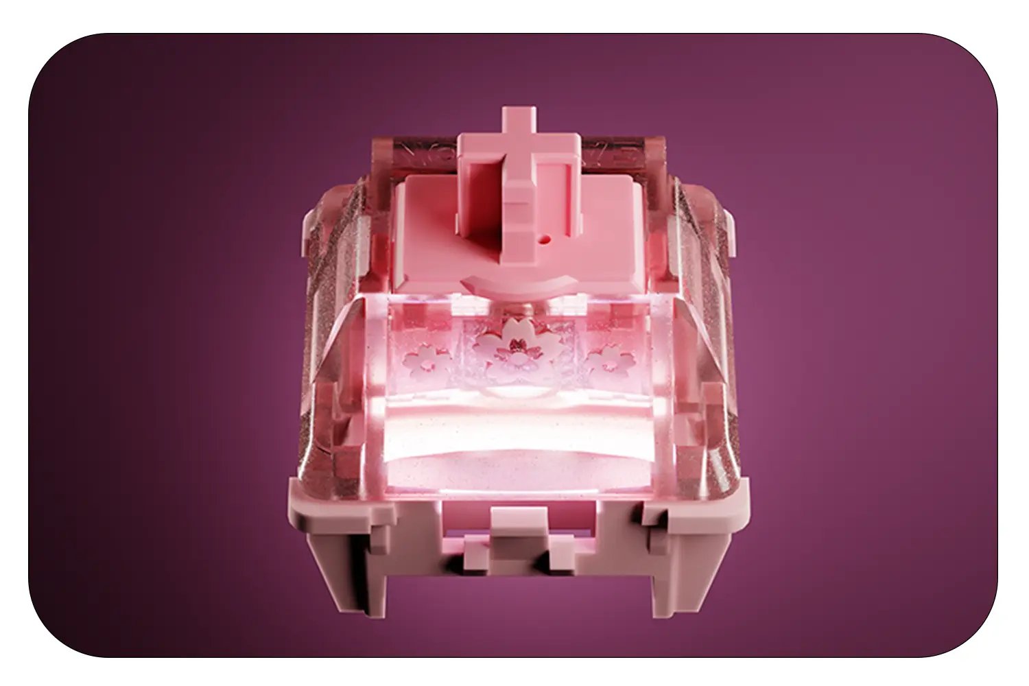 Hall Sensing Keyboard Switches - RGB Sakura & 150M Cycles | GATERON