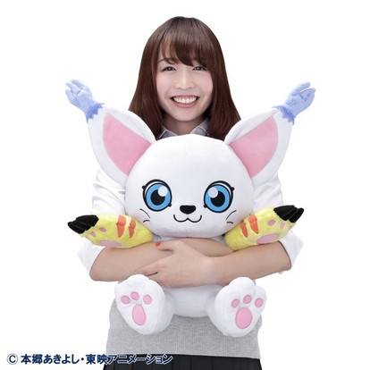 img_78f5a389a913ce8363b267fb20