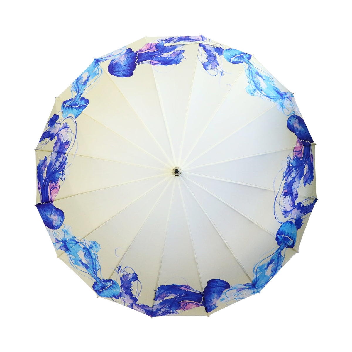 5502800010005_aca30182-8977-