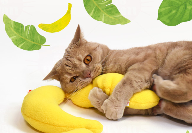 なめけるキッカー バナナ (37064) ゴロにゃんオリジナル 国産またたび