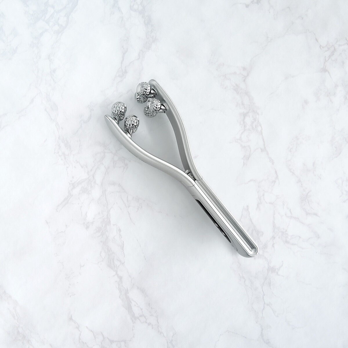 ニップラックス EMS 美顔ローラー べローラ NP-BRL23SV | Costco Japan