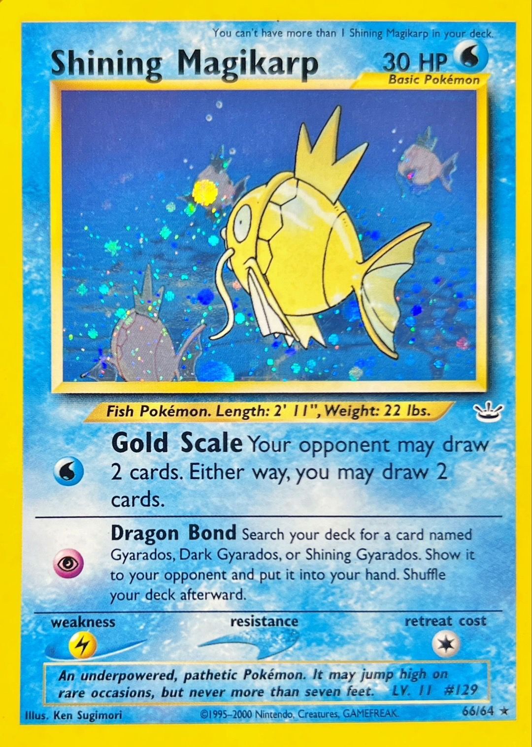 状態B〕ひかるコイキング(英語版)【☆】{66/64}