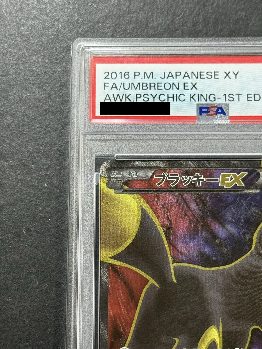 PSA10鑑定済〕ブラッキーEX【SR】{082/078}