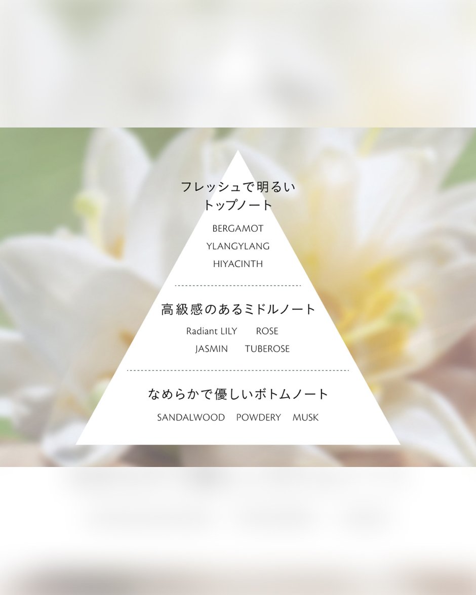 エマルションアンタンシヴ（ニュイ） - 乳液（夜用） - スキンケア