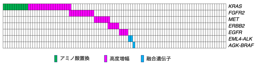 全ゲノム解析によってスキルス胃がんの治療標的を同定―難治性がん