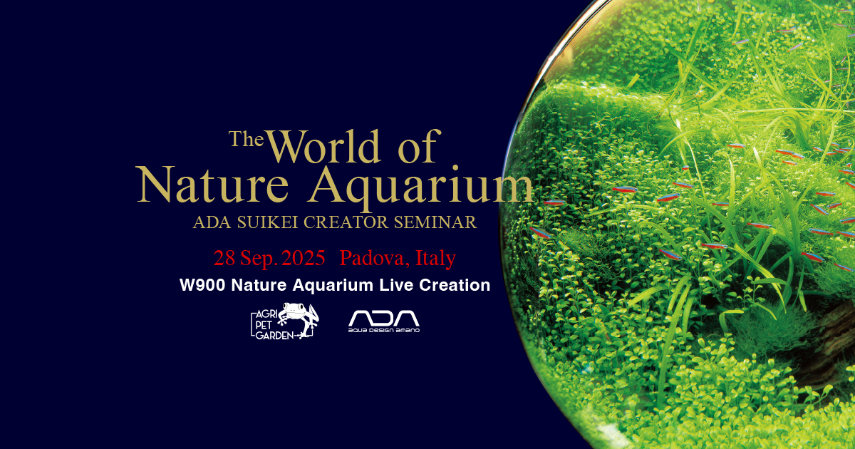 The World of Nature Aquarium