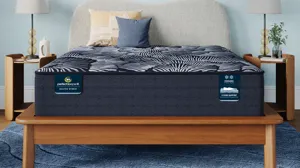 Serta Perfect Sleeper X Knox Plush Mattress | Raymour & Flanigan