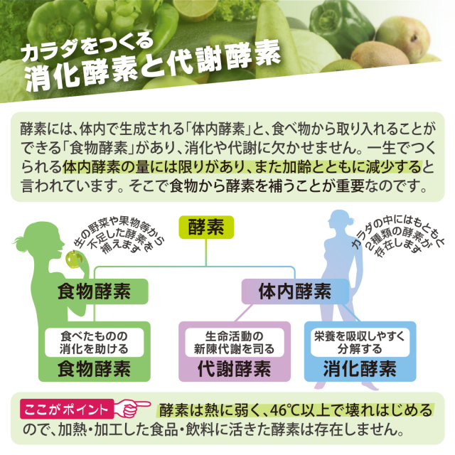 BE-MAX RAW FOOD 60 Cacao