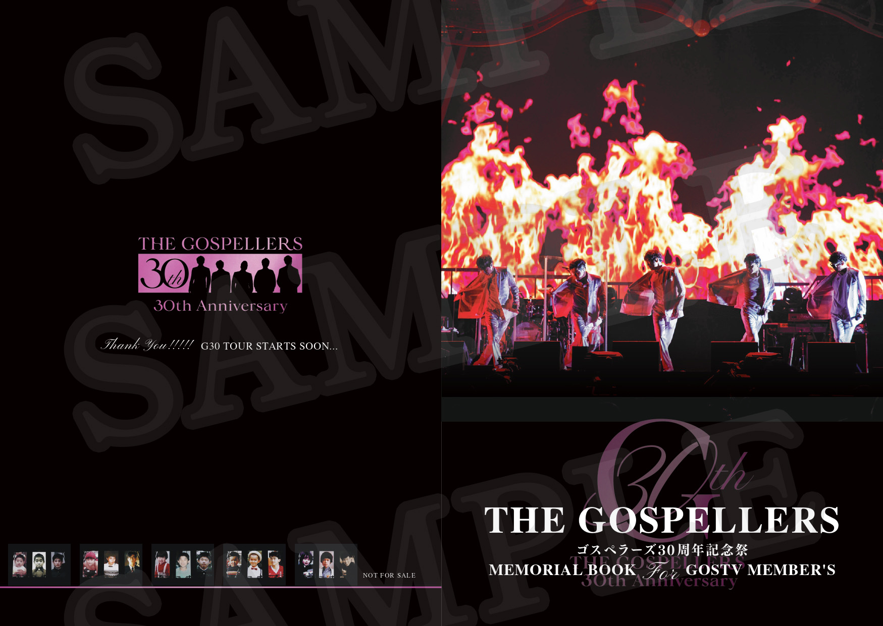 ゴスペラーズ30周年記念祭｜
