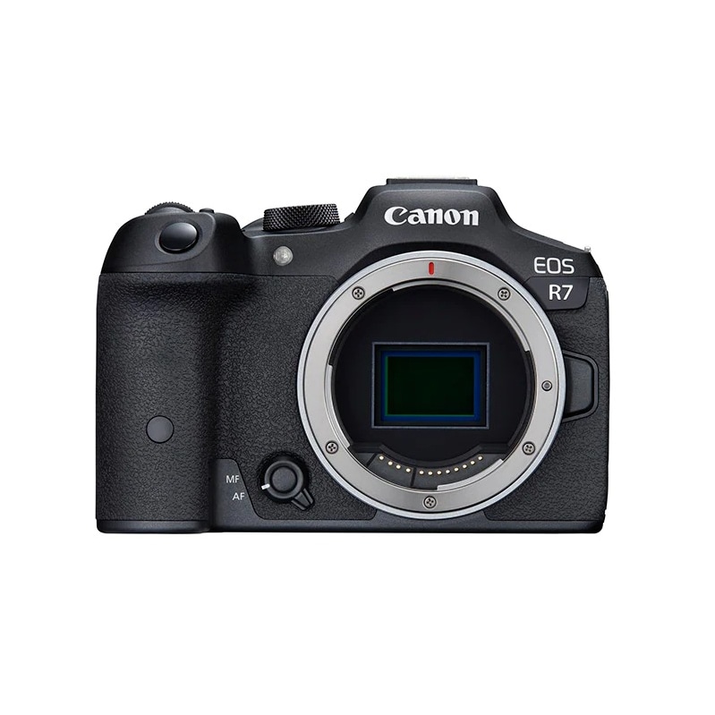 Canon(キヤノン) EOS RP カメラボディ 3380C001(EOS RPボディ): カメラ