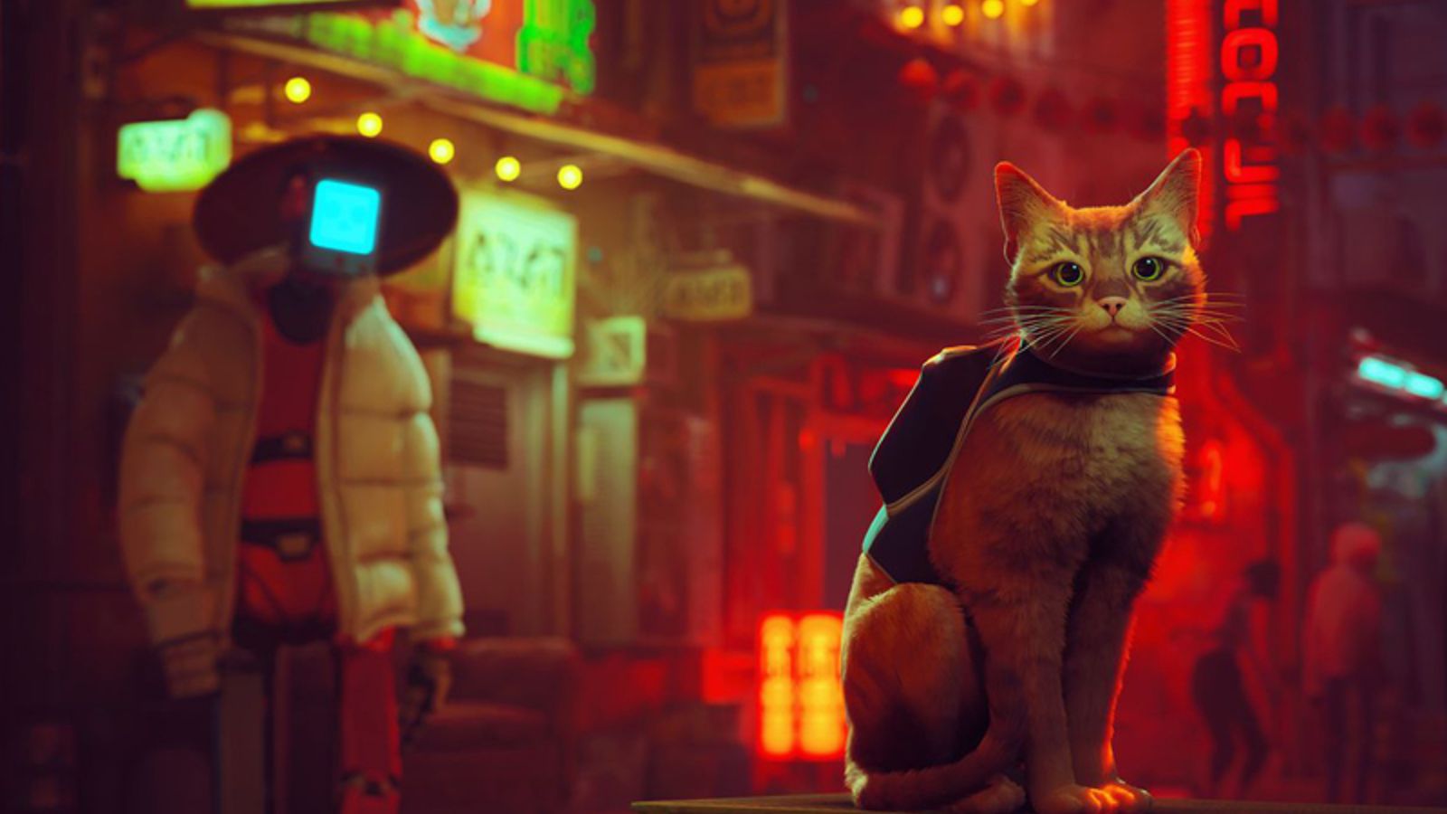 Stray': the video game that has transfixed cats worldwide | FMT