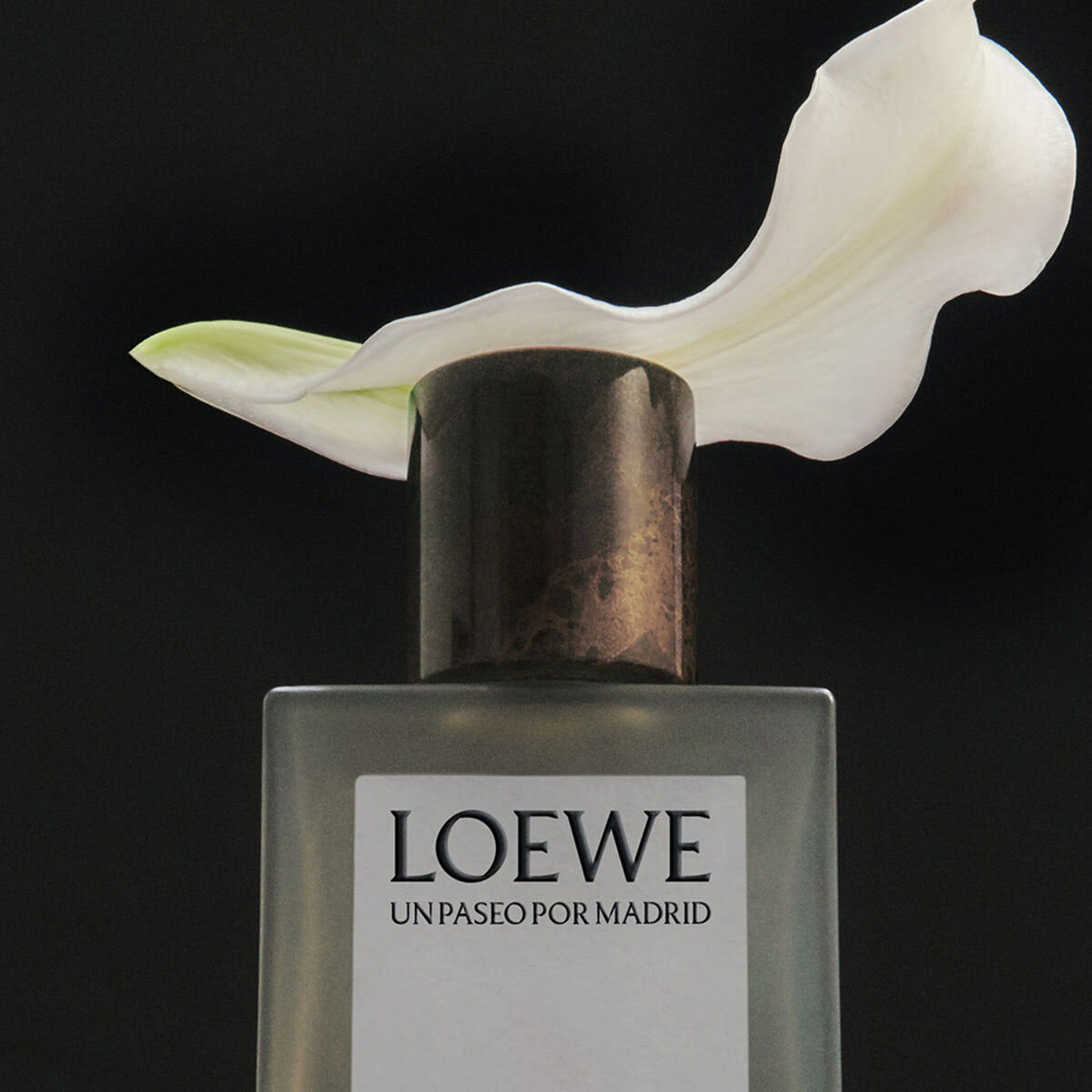 Loewe Opera En El Teatro Real Eau de Parfum
