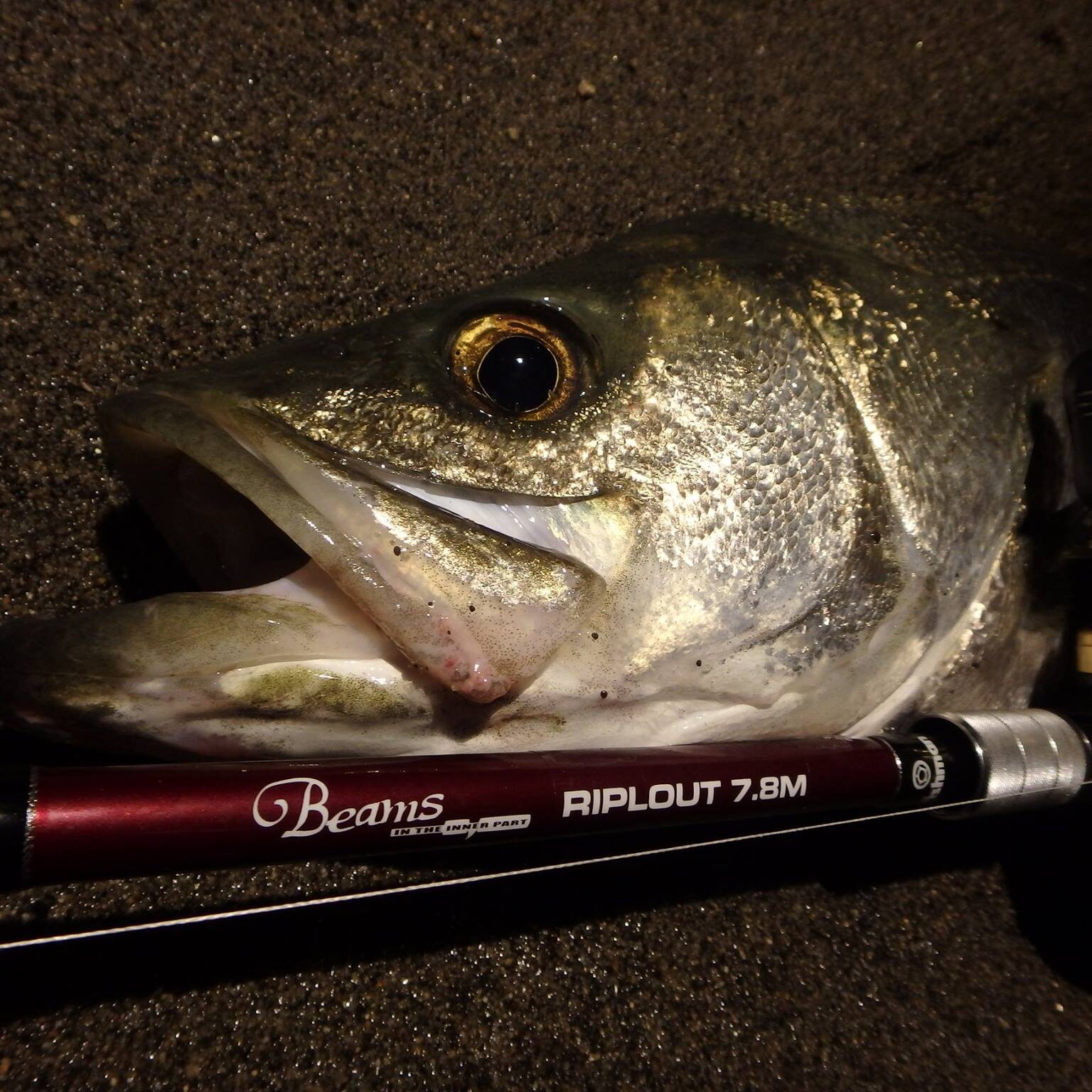 フィッシュマン リプラウト7.8MLにおすすめのリール - Fishman