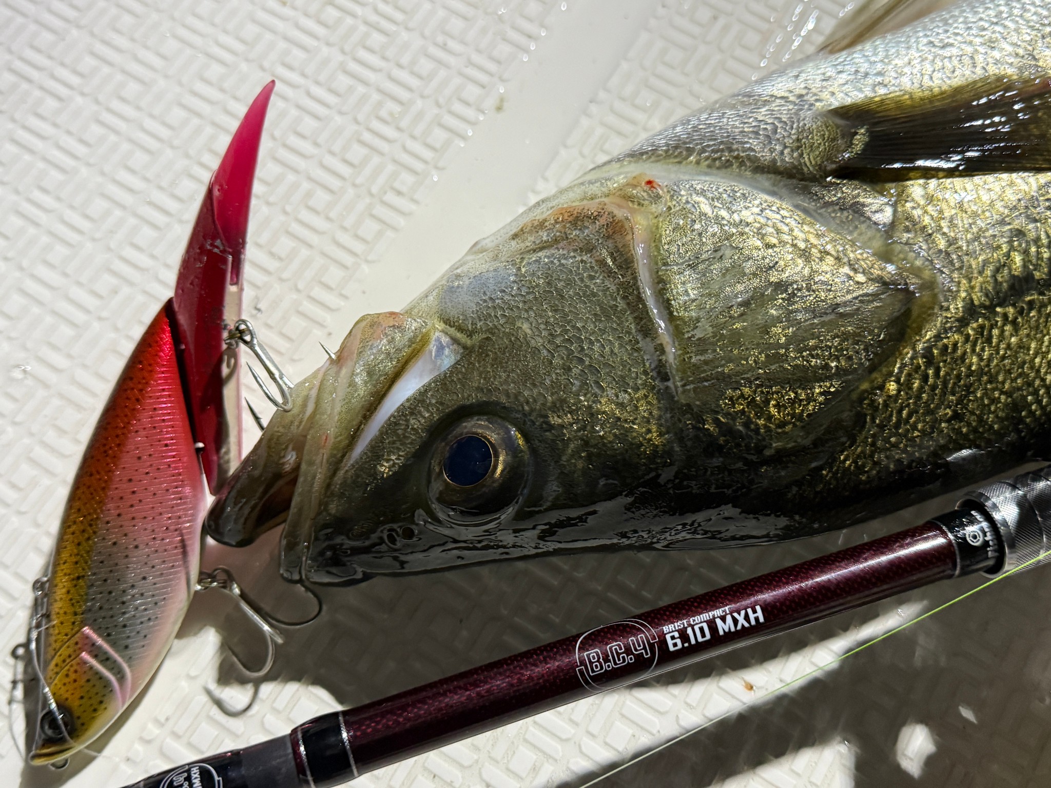 これ1本で遠征が完結するロッド - Fishman（フィッシュマン）