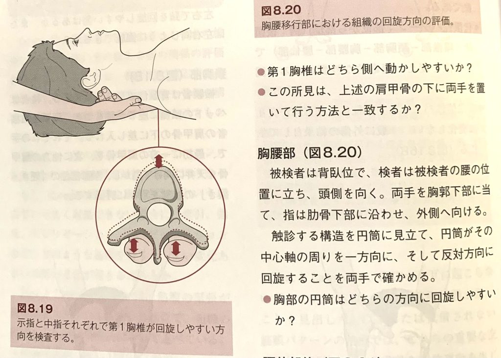 書籍紹介】最強の触診スキルを身につける！「手技療法の触診と評価