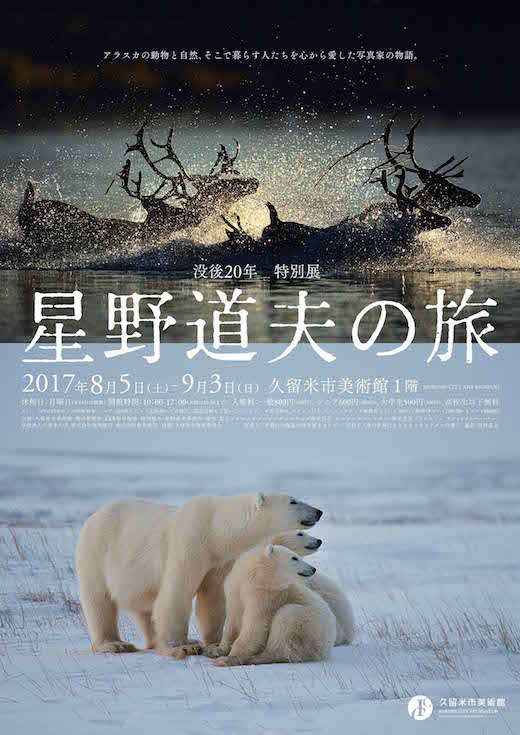 没後20年 特別展 星野道夫の旅 | 久留米市美術館 | 石橋文化センター