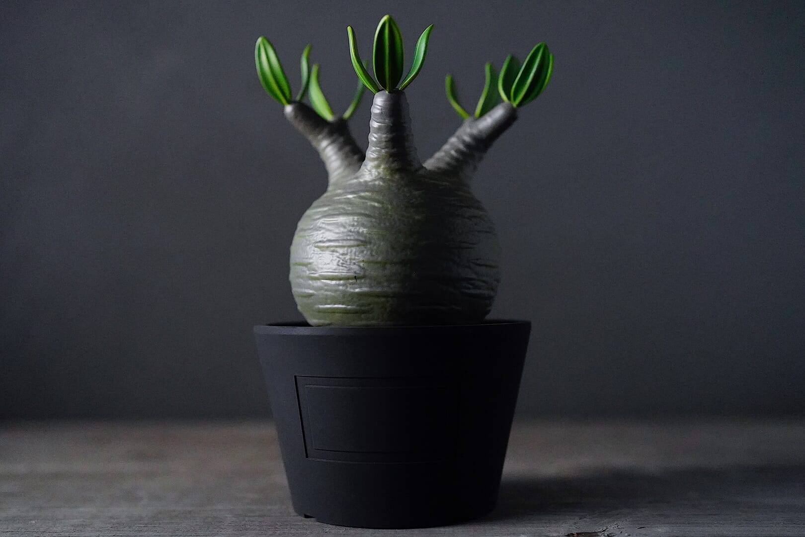 ボタナイズとメディコム・トイが共作した、植欲そそるアートな