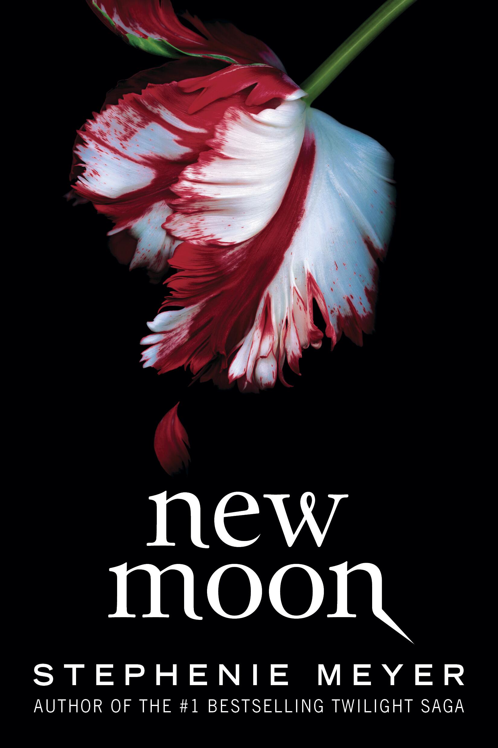 New Moon: The Graphic Novel, Vol. 1 by Stephenie Meyer & Young Kim