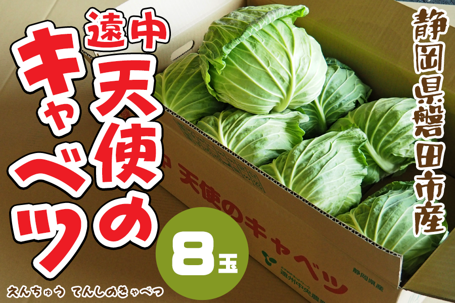 遠中 天使のキャベツ 8玉｜高糖度キャベツ 静岡県産: 遠州中央どっさり