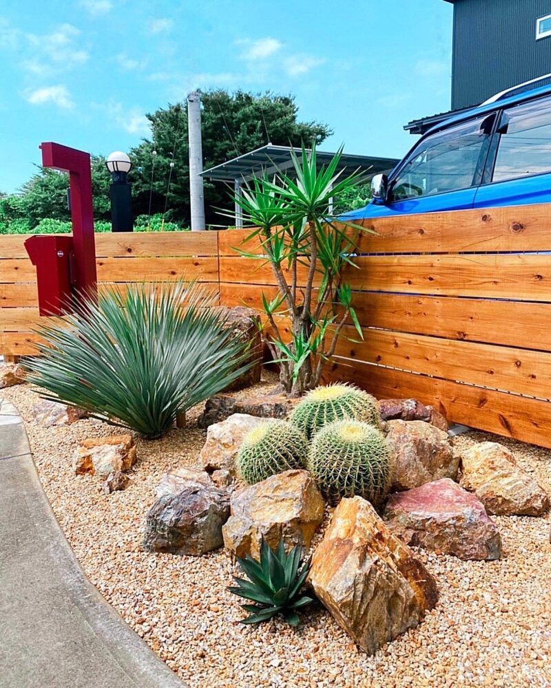 ドライガーデン IN CHIBA | DESERT INC.