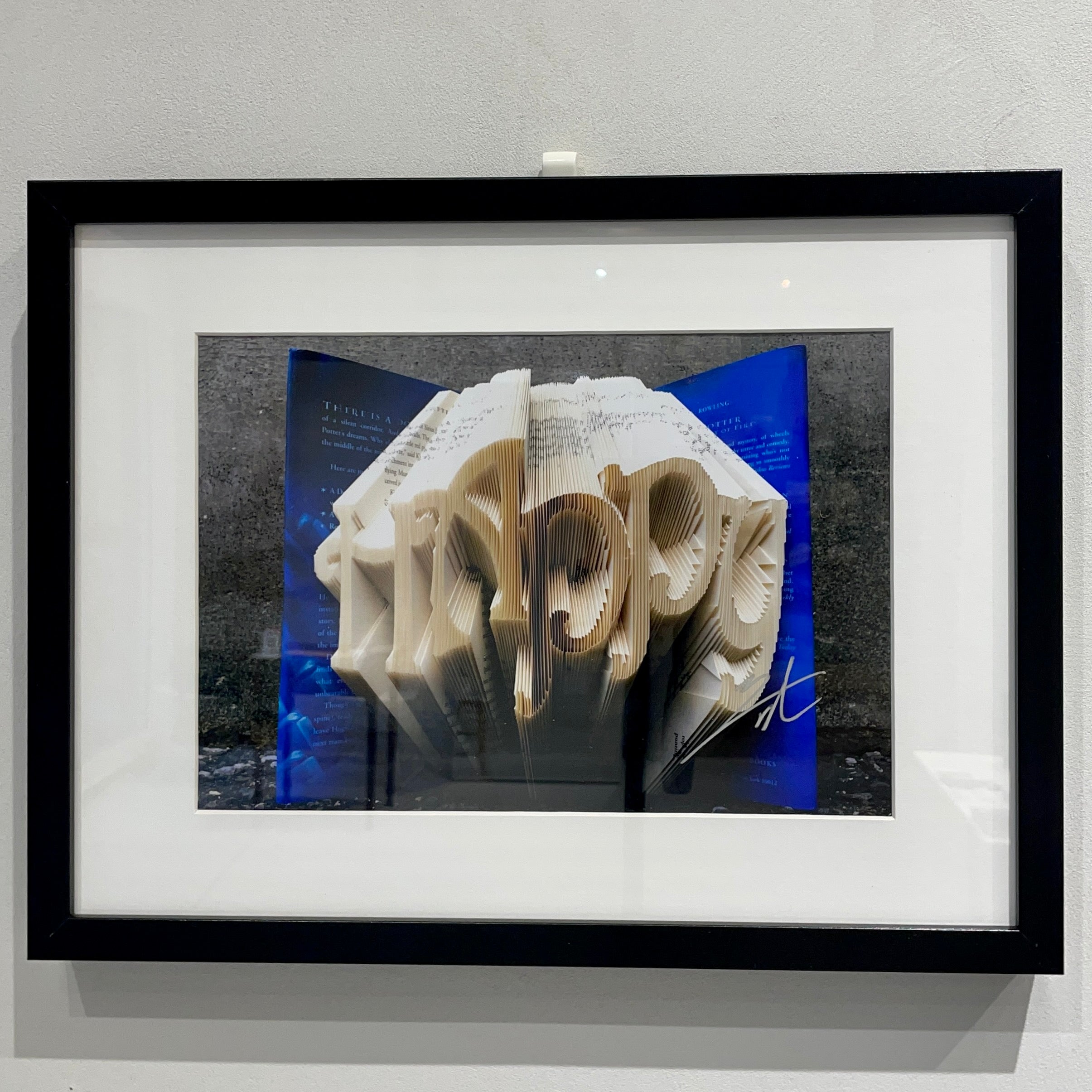 プリント2枚付き、サイン入り】Vincent Delbrouck プリント2枚付き